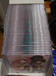 DSC00557.JPG