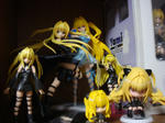 DSC01504.jpg