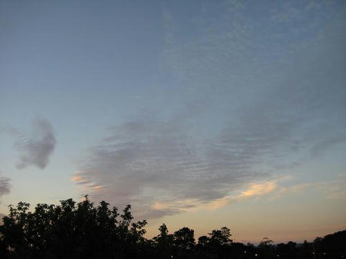 IMG_0650.JPG