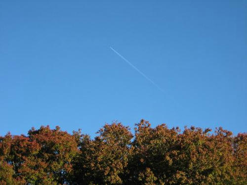 IMG_4250.JPG