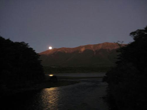 IMG_4446.JPG