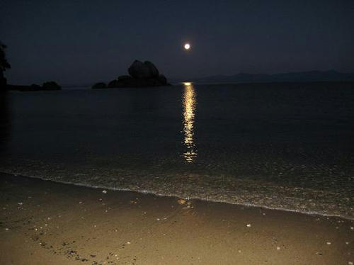 IMG_4479.JPG