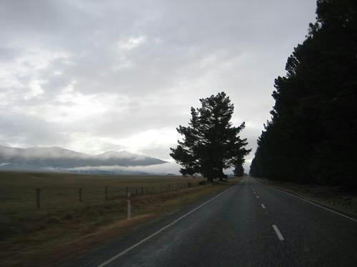 IMG_6206.JPG
