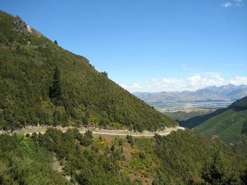 IMG_8114.jpg