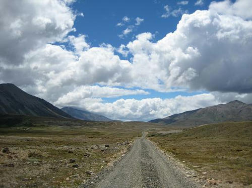 IMG_8298.jpg