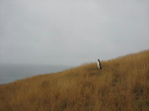 IMG_9643.JPG