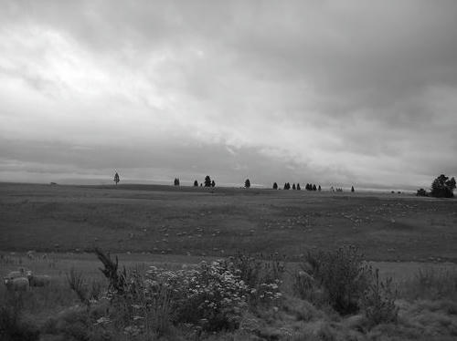 IMG_0054.JPG
