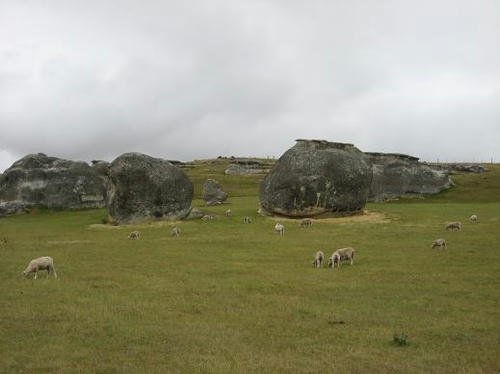 IMG_9908.JPG