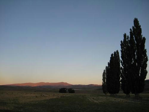 IMG_0717.JPG