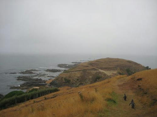 IMG_9631.JPG