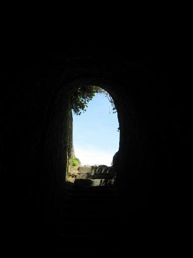 IMG_3113.JPG