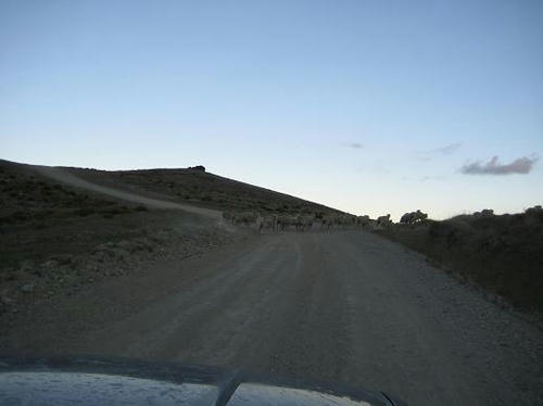 IMG_3821.JPG