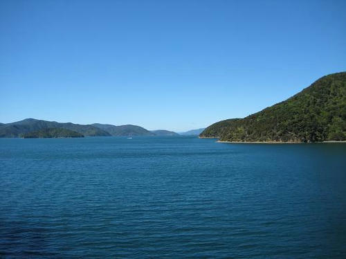 IMG_4374.JPG