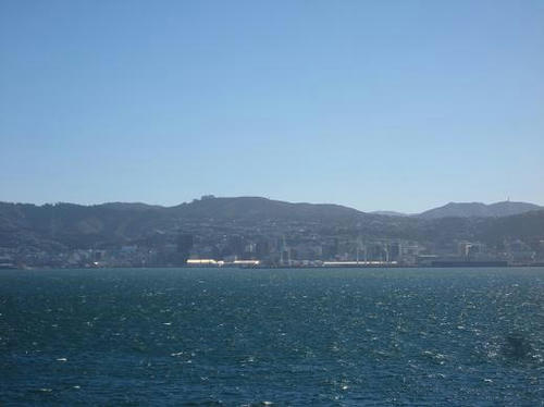 IMG_4458.JPG