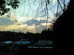 2008.11.29.jpg