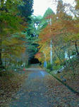 2008.11.29-2.jpg