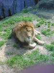0802b509.jpg