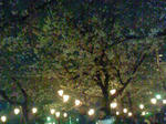 5be83186.jpg