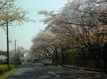 ff9bb478.jpg