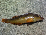 f59a895e.jpg