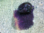 8e51143a.jpg