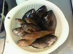 cbfe55f4.jpg