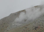 IMG_1660.jpg