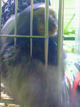 625b765f.jpg