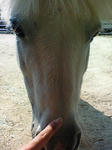 ac8e6515.jpg