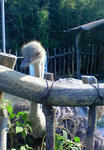 b43878b3.jpg