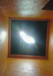 969ab345.jpg