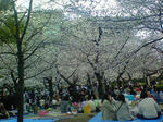 8a3f79e4.jpg