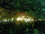 43a69d06.jpg