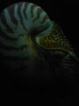 cfcd8bc8.jpg
