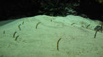 570b7960.jpg