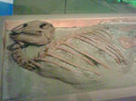 20f8f28a.jpg