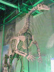 93c98805.jpg