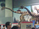 0b4d588f.jpg