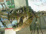 06656957.jpg