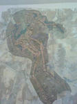 d7cc7e00.jpg