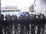 5b3fdf29.jpg