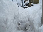 IMG_0980-s.jpg