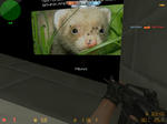 cs_office0003.jpg