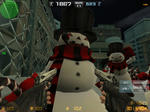 zs_trap0007.jpg