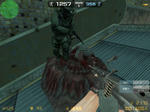 zs_lastclue0003.jpg