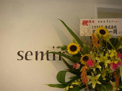 IMGP2867.JPG