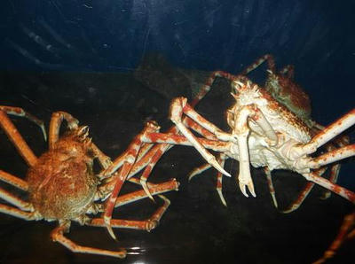 DSCF9183.JPG