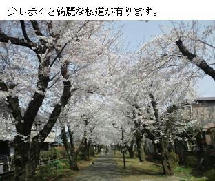 962909d4.jpeg