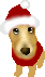 xmaspote.gif