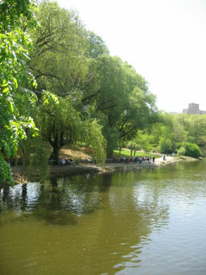 central park3